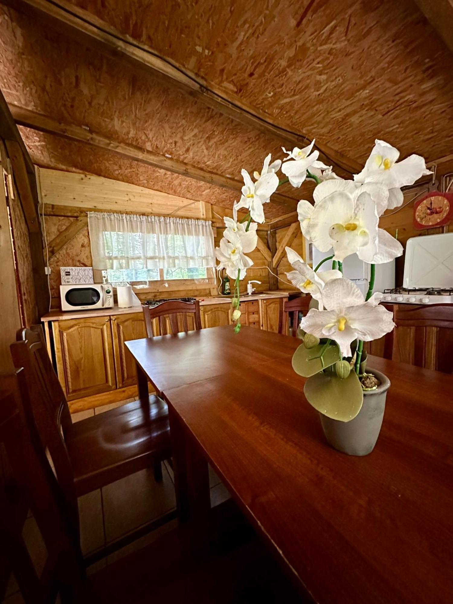 מלון קובאריד Glamping Krn מראה חיצוני תמונה